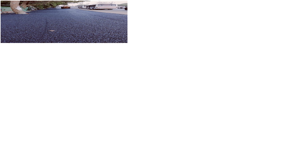 Picture11
