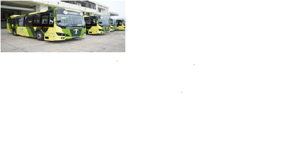 Picture11