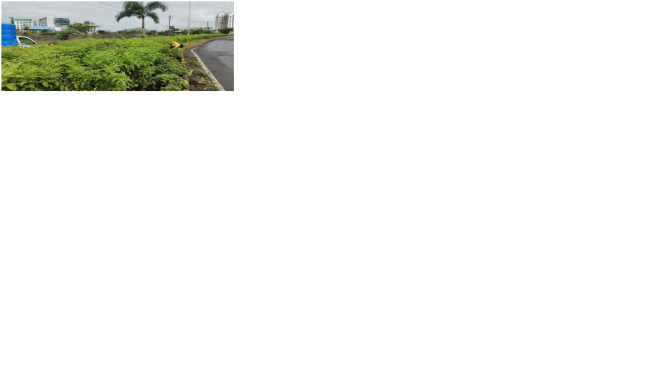 Picture11